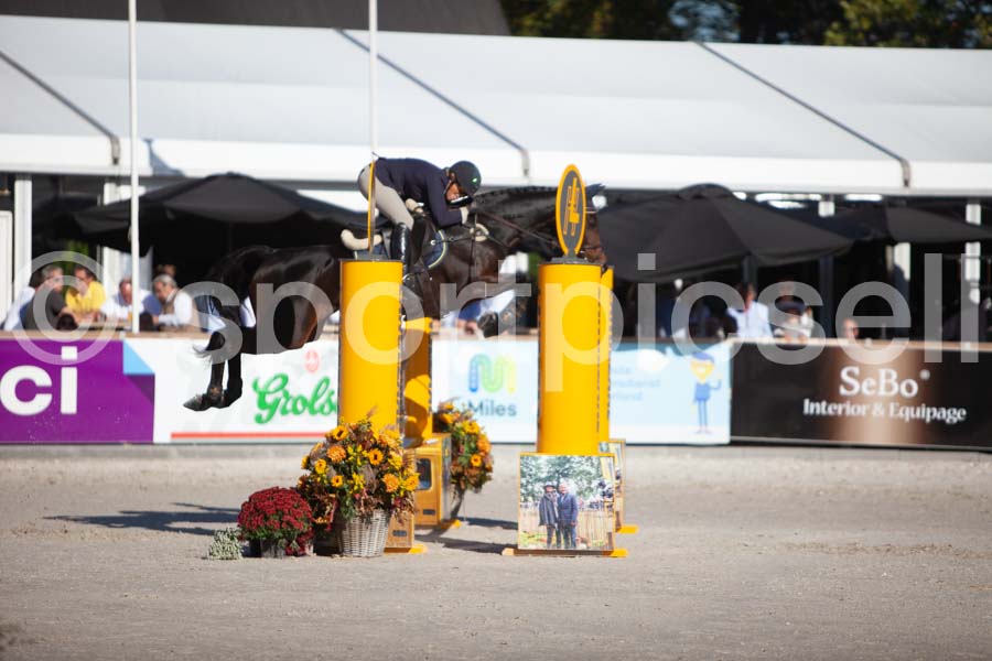 Prüfung showjumping-1 — IMG_3193