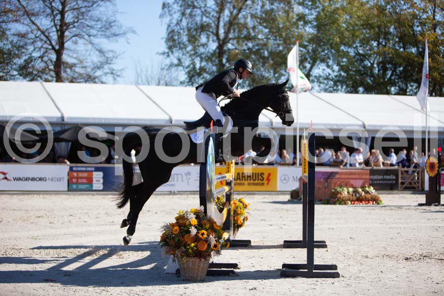Prüfung showjumping-1 — IMG_3203