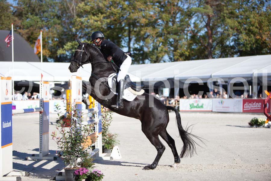 Prüfung showjumping-1 — IMG_3206
