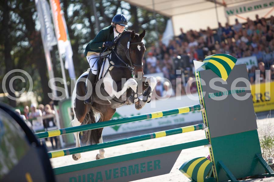 Prüfung showjumping-1 — IMG_3214