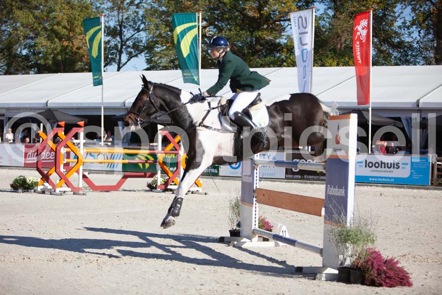Prüfung showjumping-1 — IMG_3220