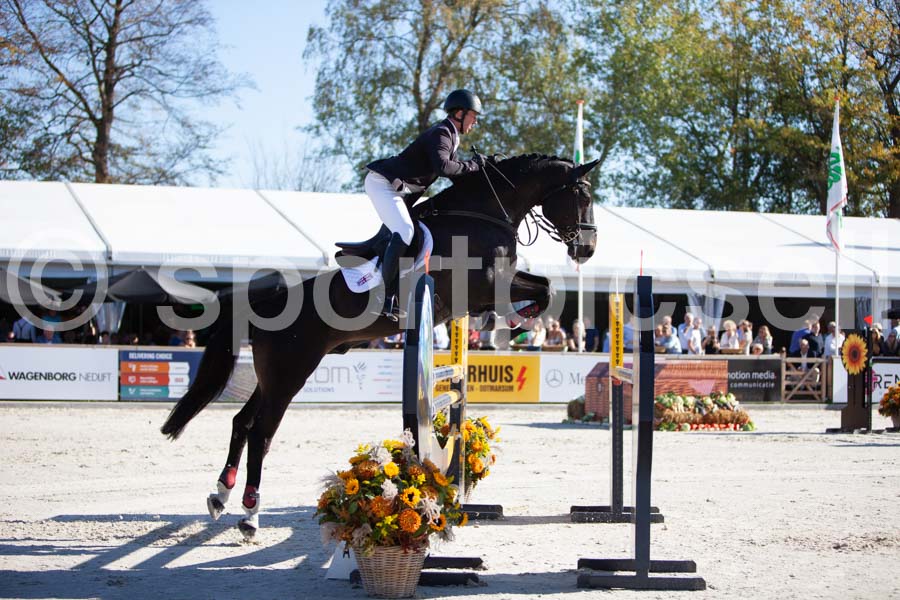 Prüfung showjumping-1 — IMG_3247