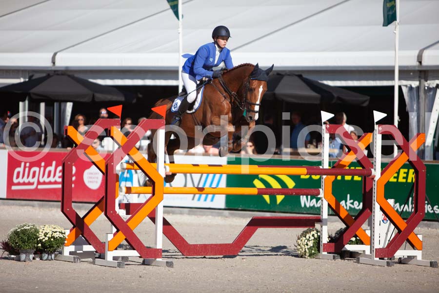 Prüfung showjumping-2 — IMG_3889