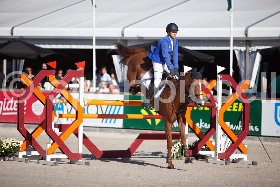Prüfung showjumping-2 — IMG_3890