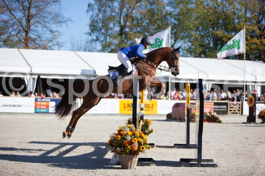 Prüfung showjumping-2 — IMG_3891