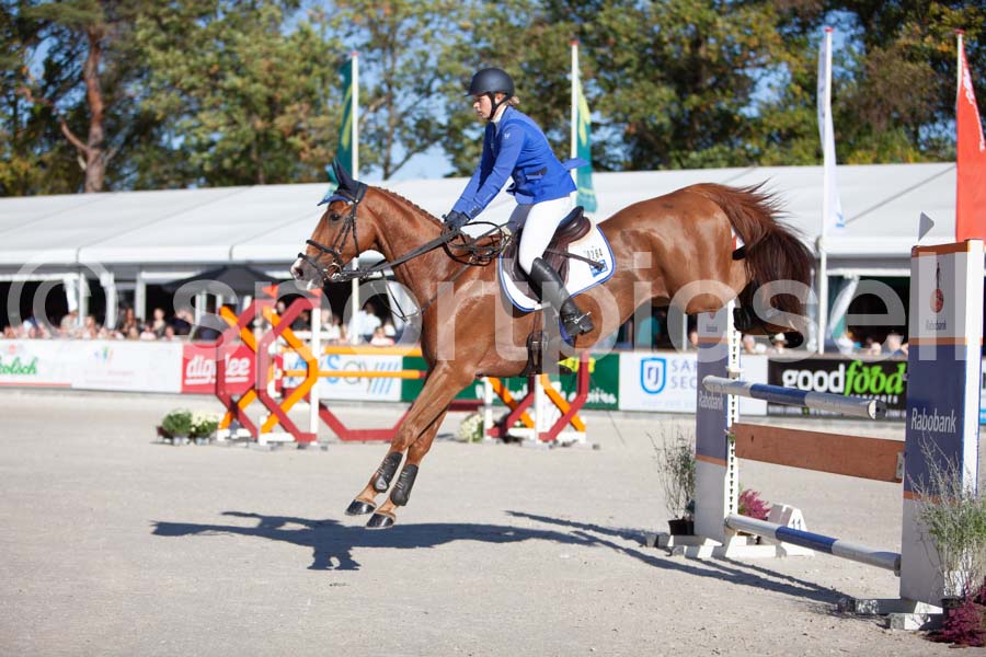 Prüfung showjumping-2 — IMG_3896