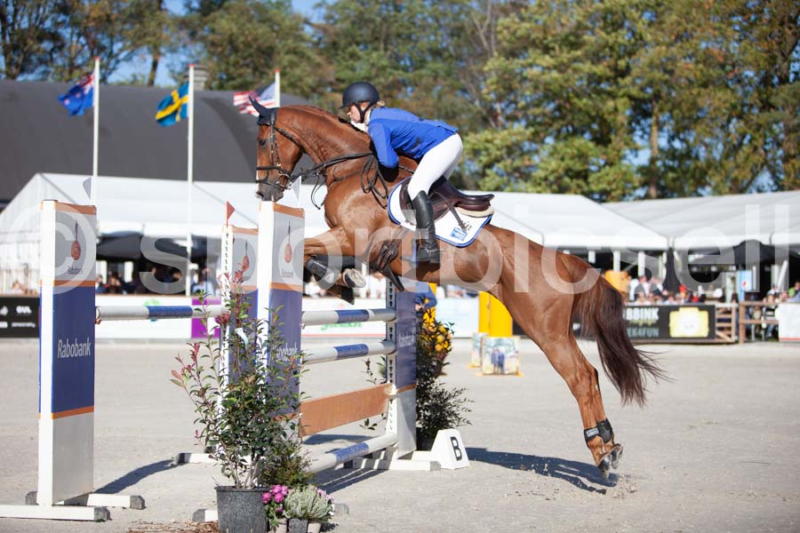 Prüfung showjumping-2 — IMG_3897