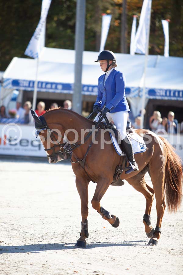 Prüfung showjumping-2 — IMG_3899