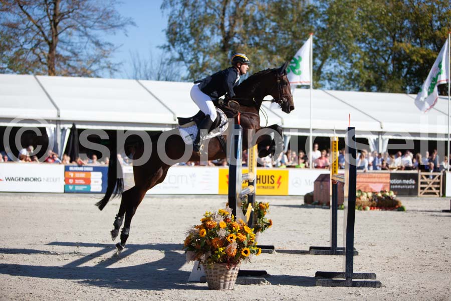 Prüfung showjumping-2 — IMG_3911