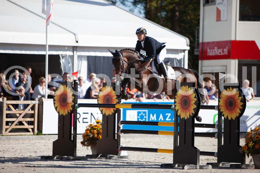 Prüfung showjumping-2 — IMG_3913