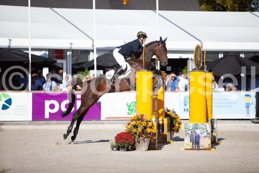 Prüfung showjumping-2 — IMG_3916