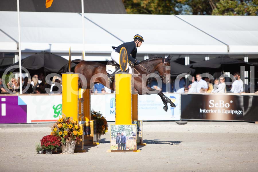Prüfung showjumping-2 — IMG_3917