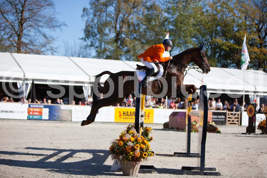 Prüfung showjumping-2 — IMG_3930