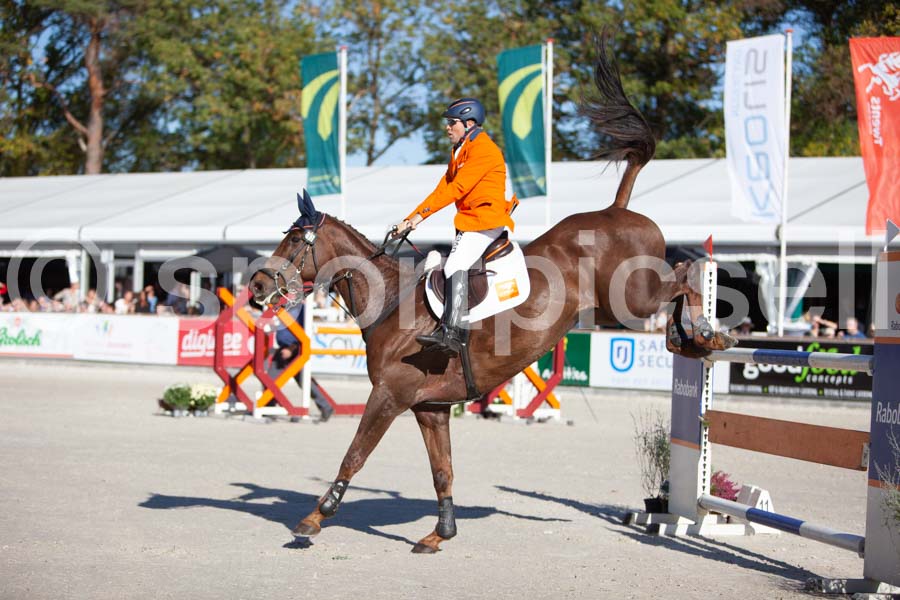 Prüfung showjumping-2 — IMG_3933