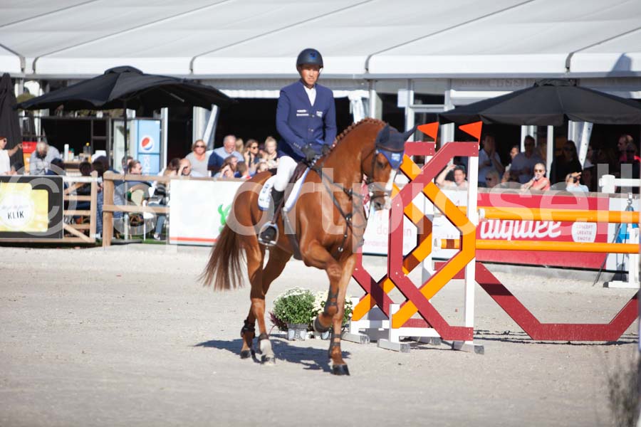 Prüfung showjumping-2 — IMG_3939