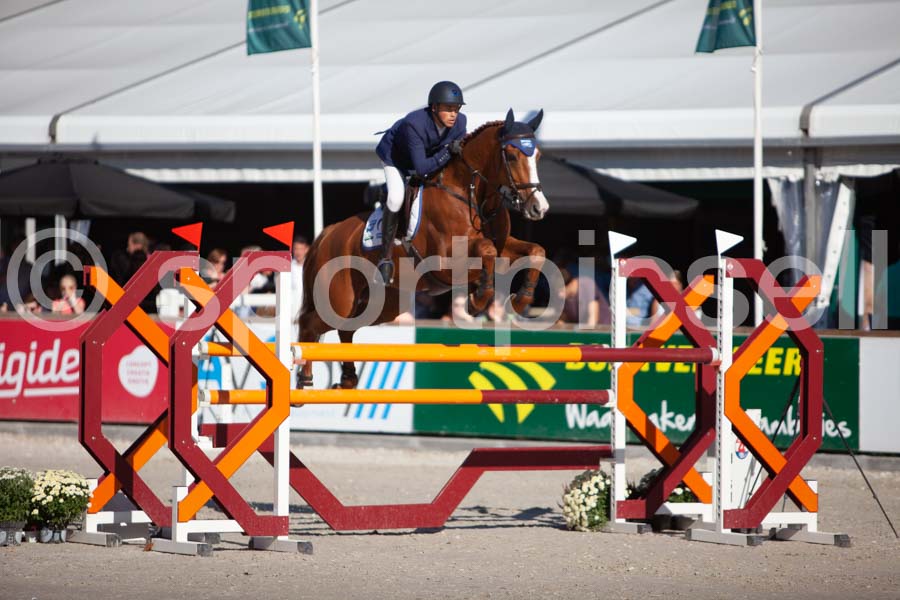 Prüfung showjumping-2 — IMG_3952