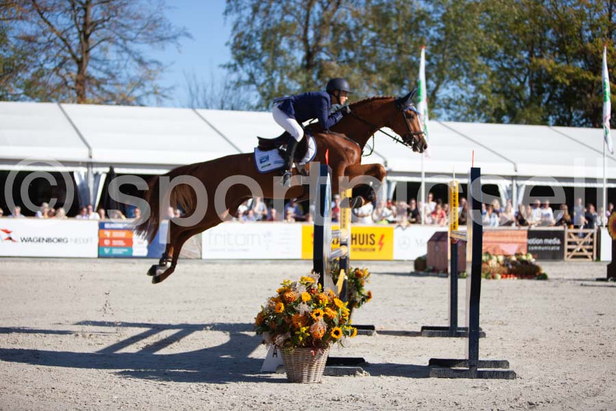 Prüfung showjumping-2 — IMG_3954