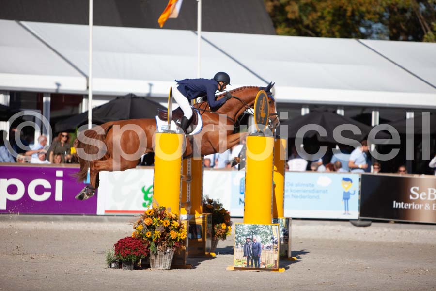 Prüfung showjumping-2 — IMG_3959