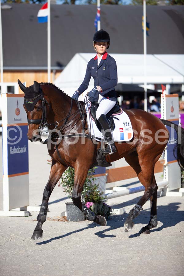 Prüfung showjumping-2 — IMG_3961