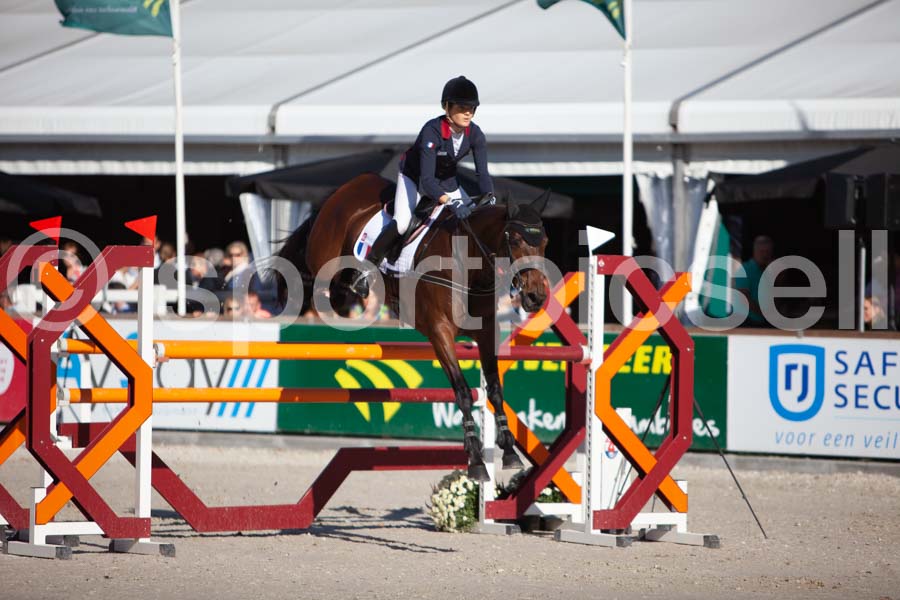 Prüfung showjumping-2 — IMG_3969