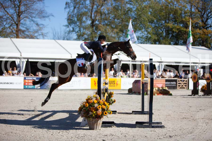 Prüfung showjumping-2 — IMG_3970