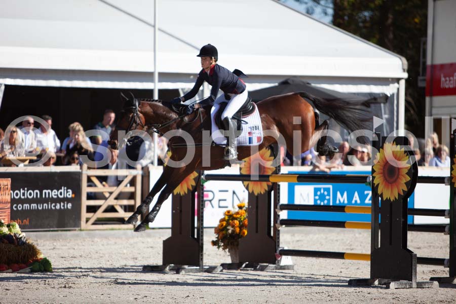 Prüfung showjumping-2 — IMG_3972
