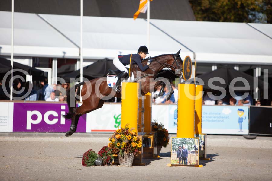 Prüfung showjumping-2 — IMG_3975
