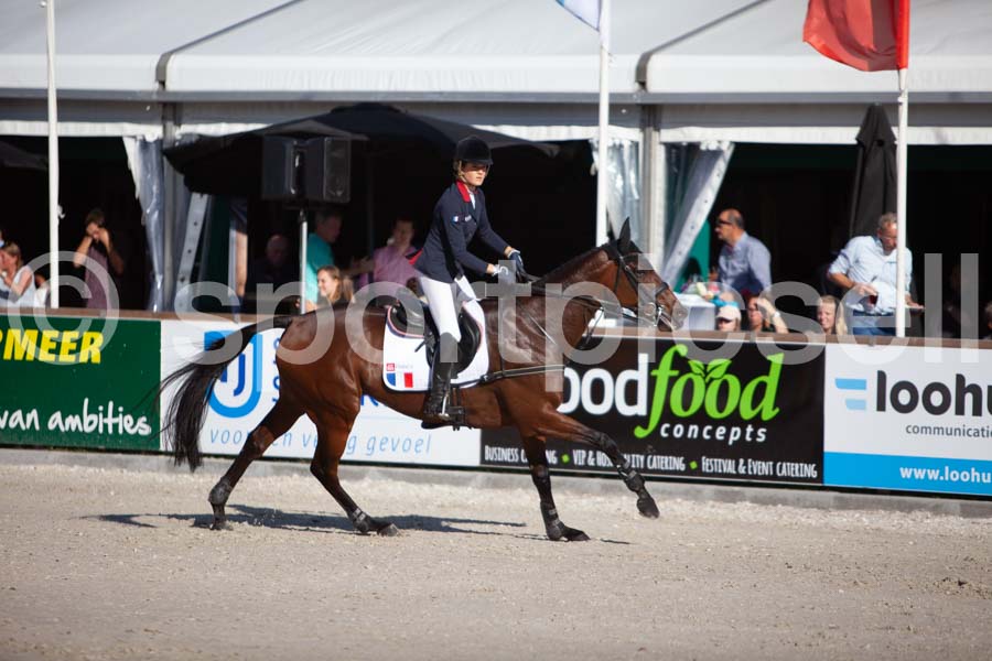 Prüfung showjumping-2 — IMG_3977