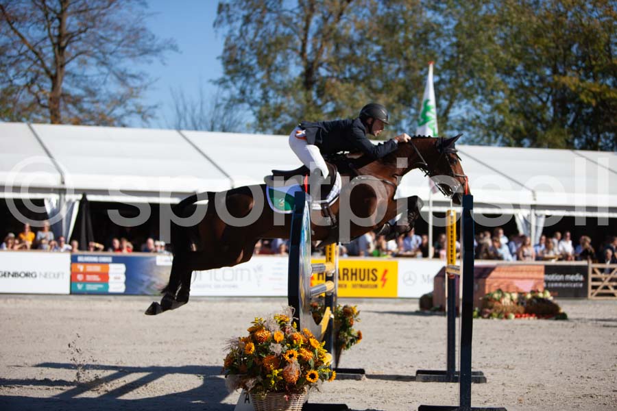 Prüfung showjumping-2 — IMG_3986