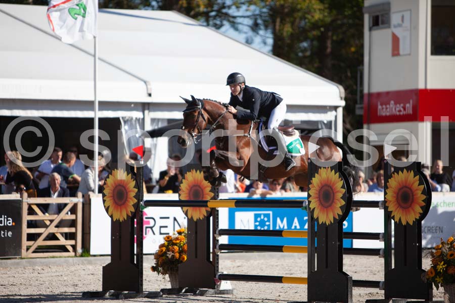 Prüfung showjumping-2 — IMG_3988