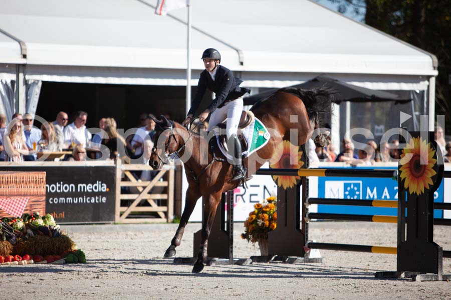Prüfung showjumping-2 — IMG_3989