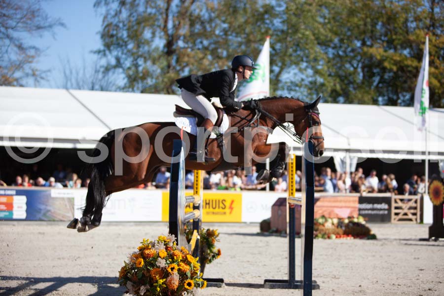 Prüfung showjumping-2 — IMG_4002