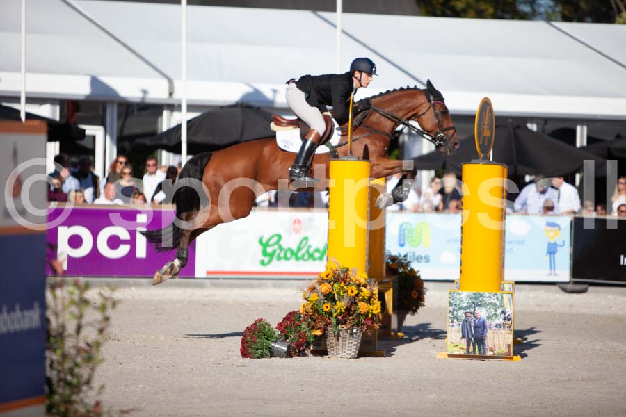 Prüfung showjumping-2 — IMG_4006