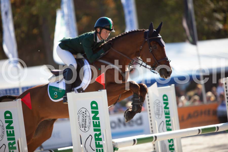 Prüfung showjumping-2 — IMG_4013