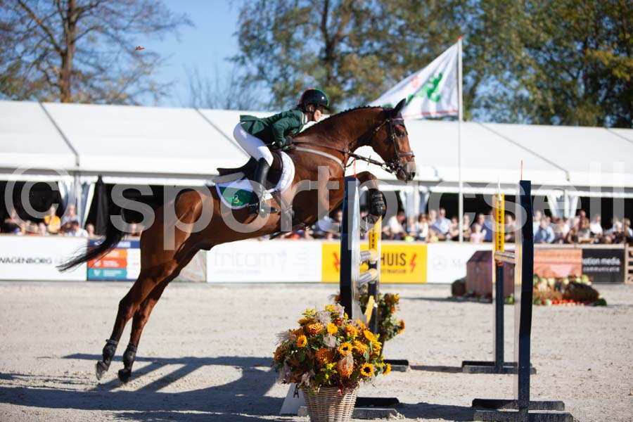 Prüfung showjumping-2 — IMG_4020
