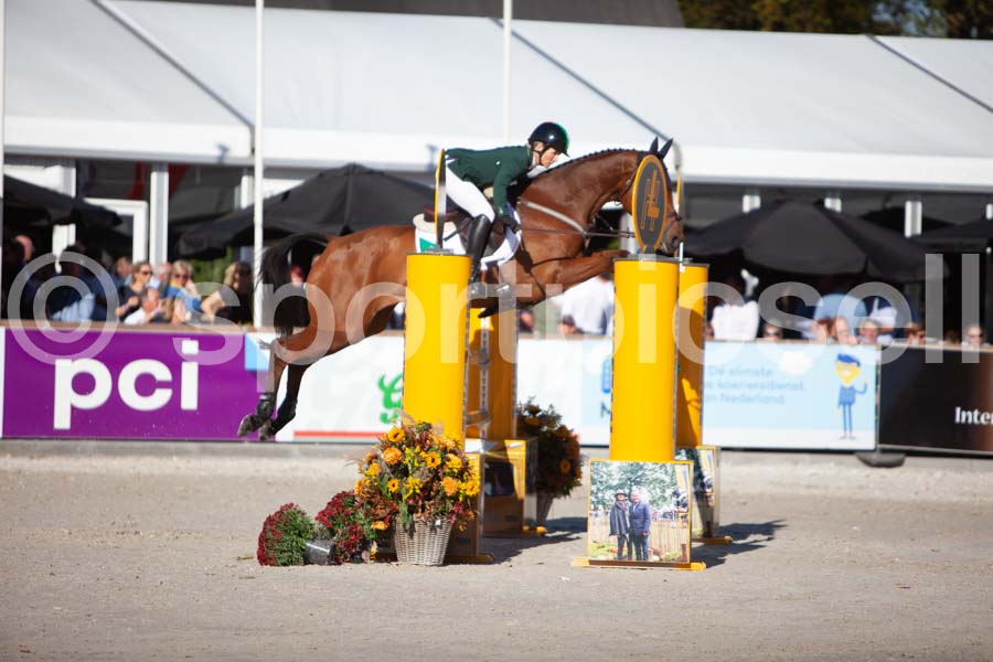 Prüfung showjumping-2 — IMG_4023