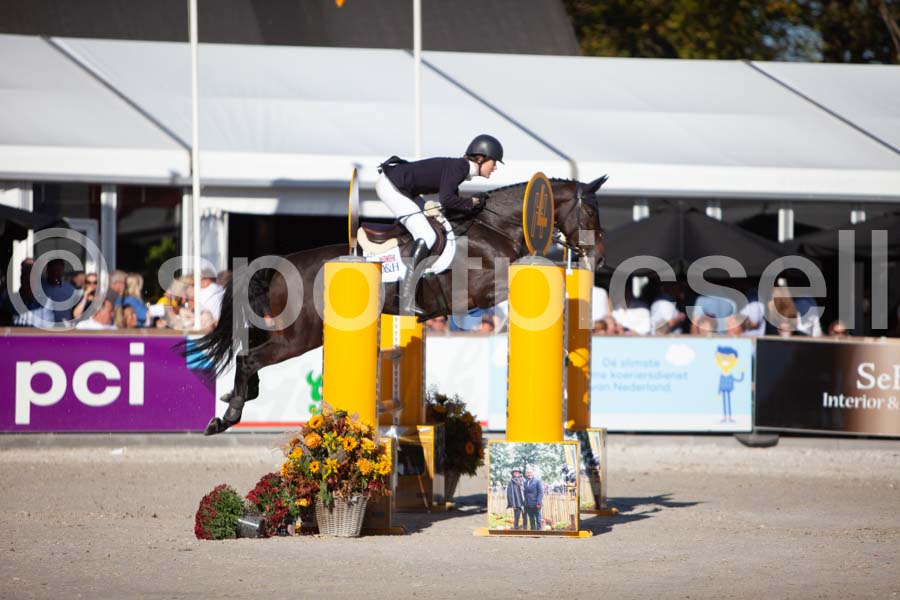Prüfung showjumping-2 — IMG_4039