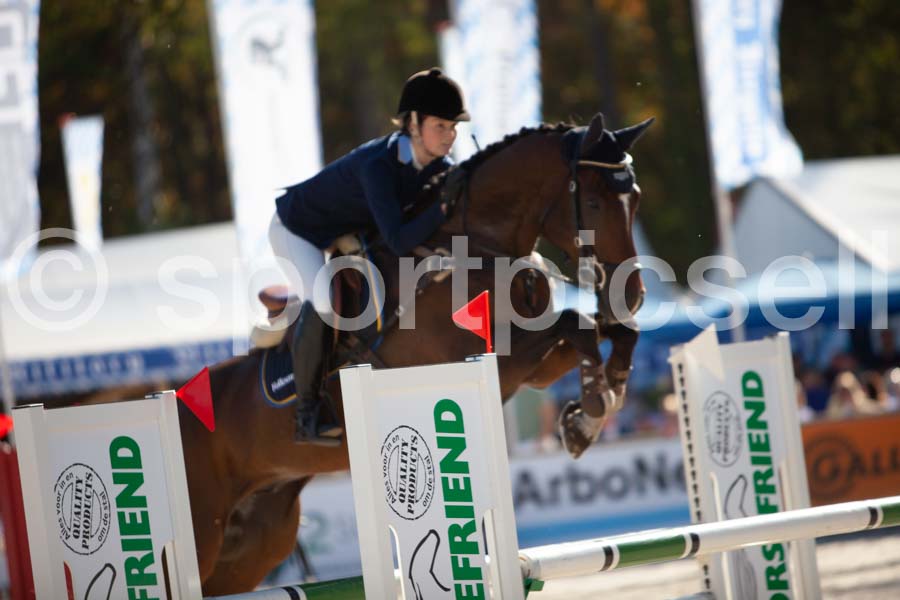 Prüfung showjumping-2 — IMG_4042