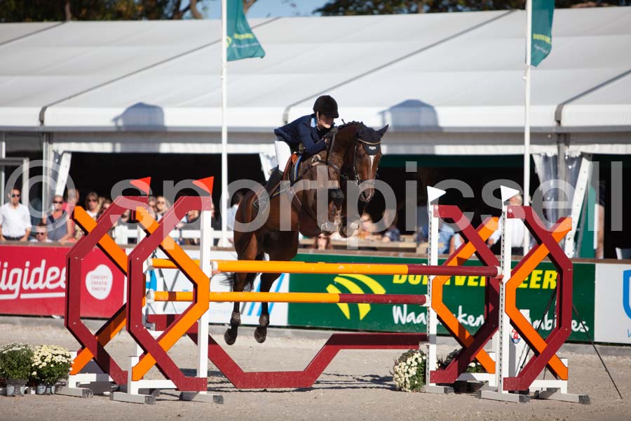 Prüfung showjumping-2 — IMG_4047