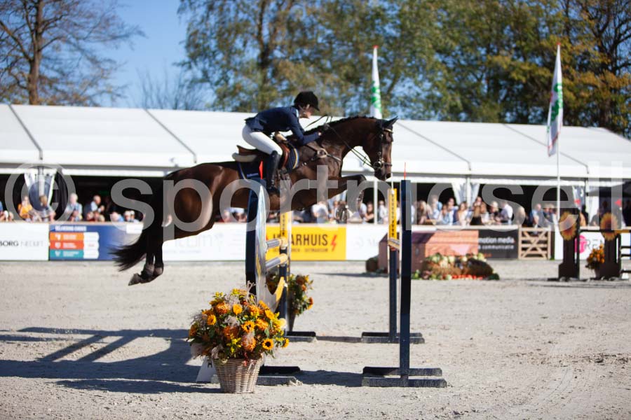 Prüfung showjumping-2 — IMG_4048