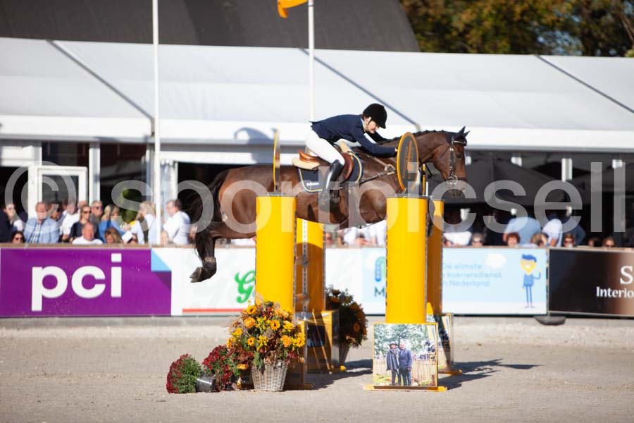 Prüfung showjumping-2 — IMG_4052