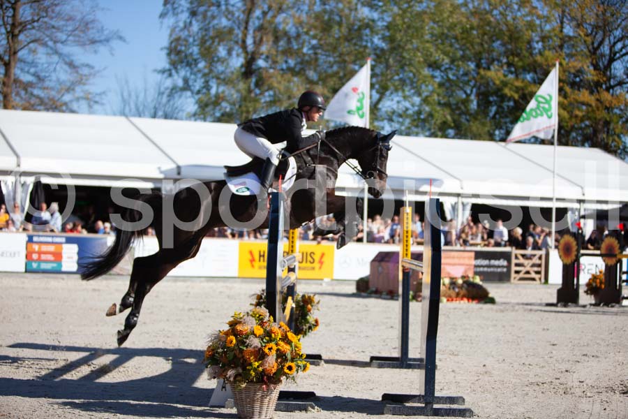 Prüfung showjumping-2 — IMG_4058