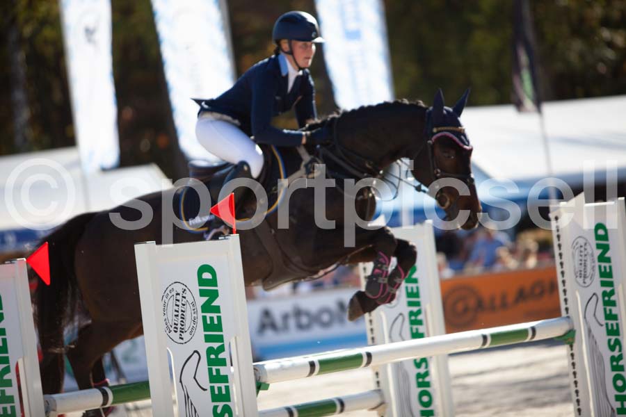 Prüfung showjumping-2 — IMG_4064