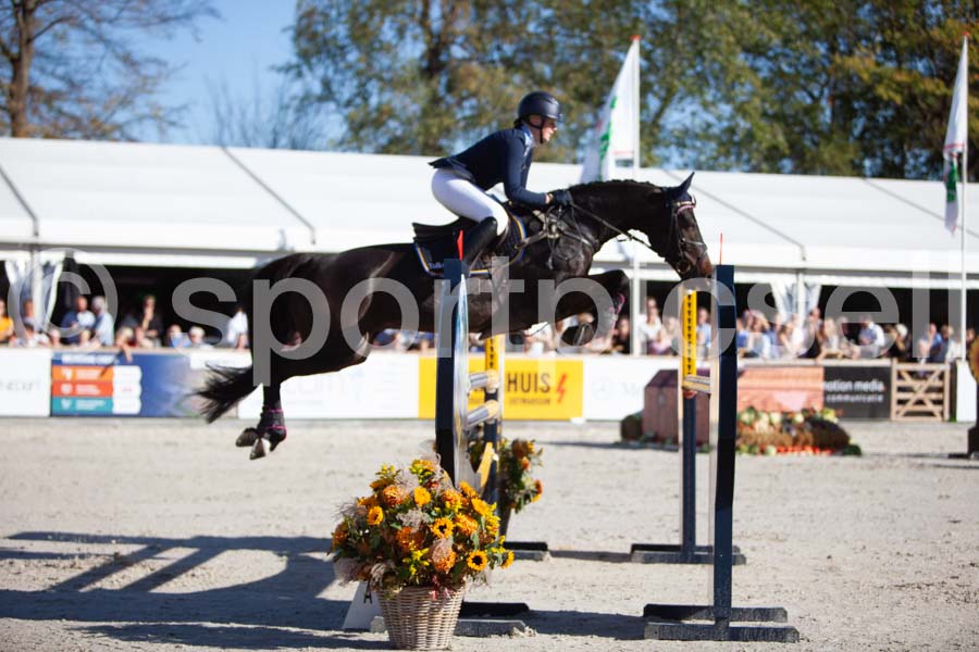 Prüfung showjumping-2 — IMG_4069