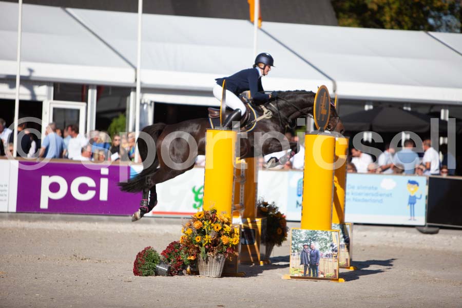 Prüfung showjumping-2 — IMG_4073