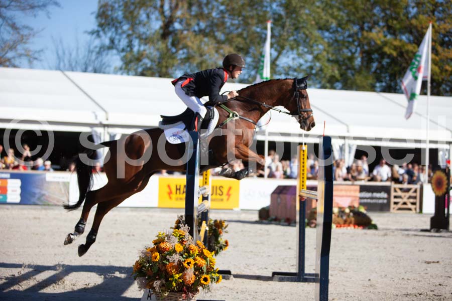 Prüfung showjumping-2 — IMG_4080