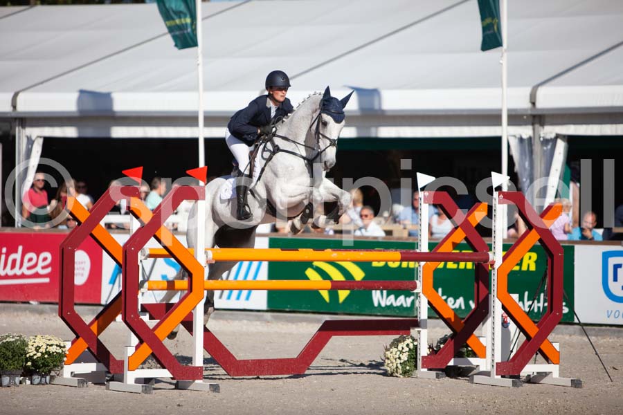 Prüfung showjumping-2 — IMG_4090
