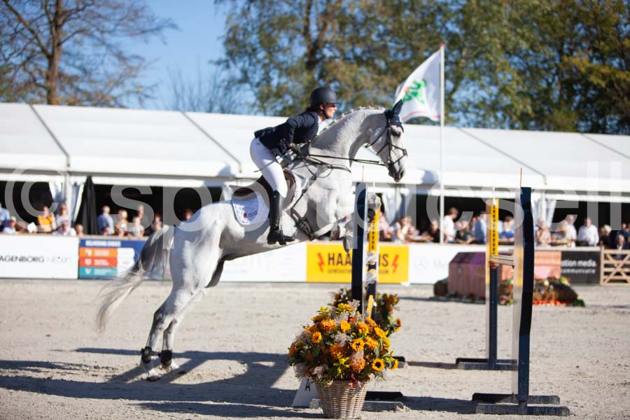 Prüfung showjumping-2 — IMG_4092