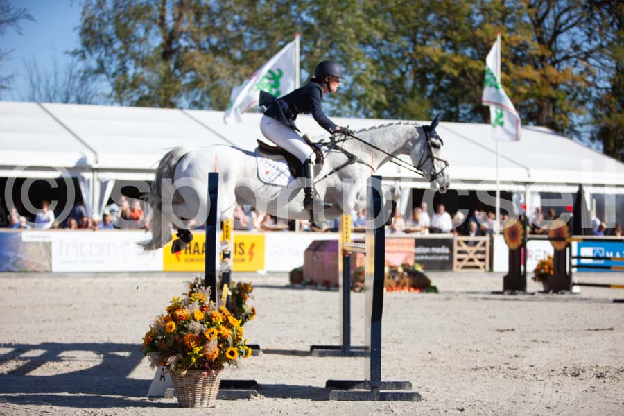 Prüfung showjumping-2 — IMG_4093