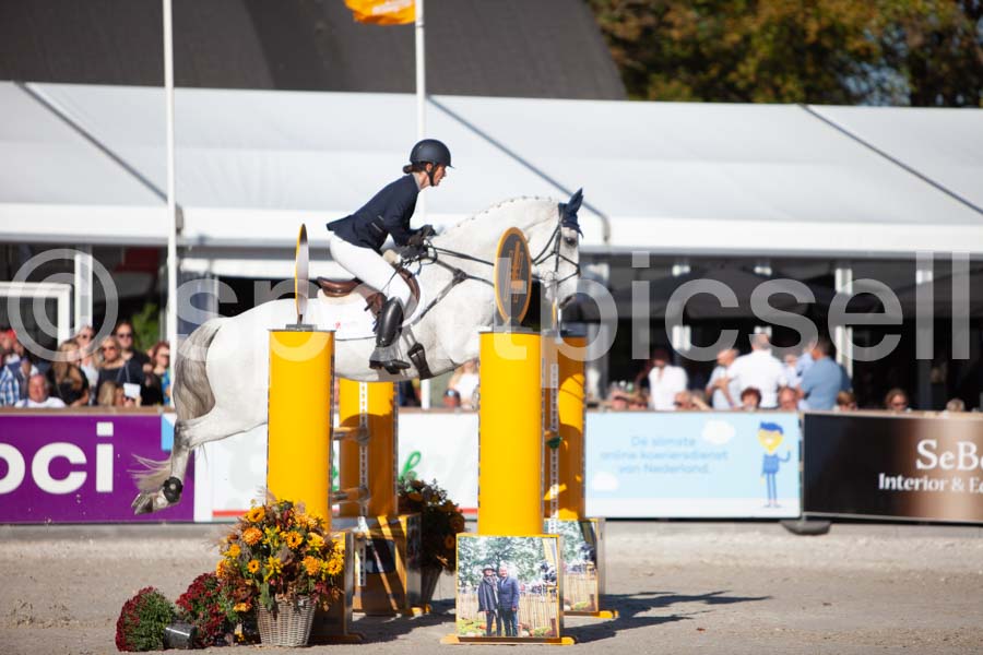 Prüfung showjumping-2 — IMG_4097